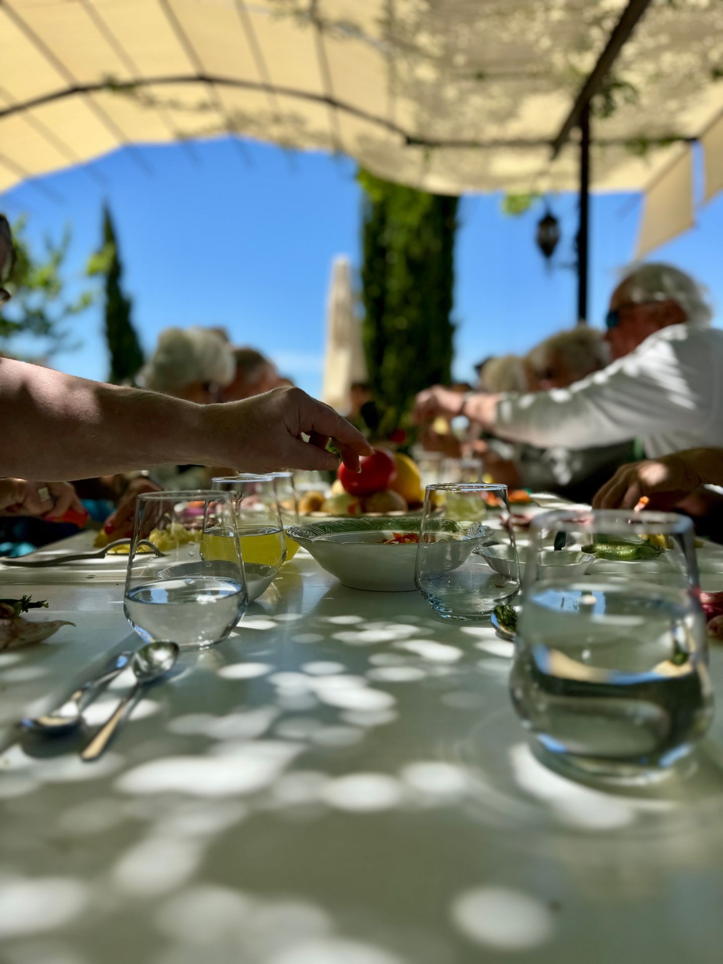 Immersive Turkish cooking class