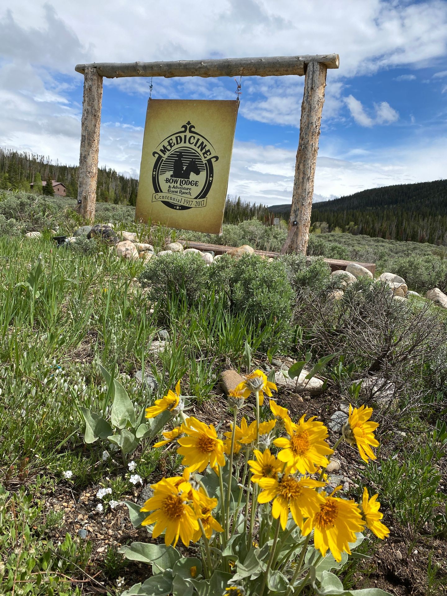 Medicine Bow Lodge in Bloom