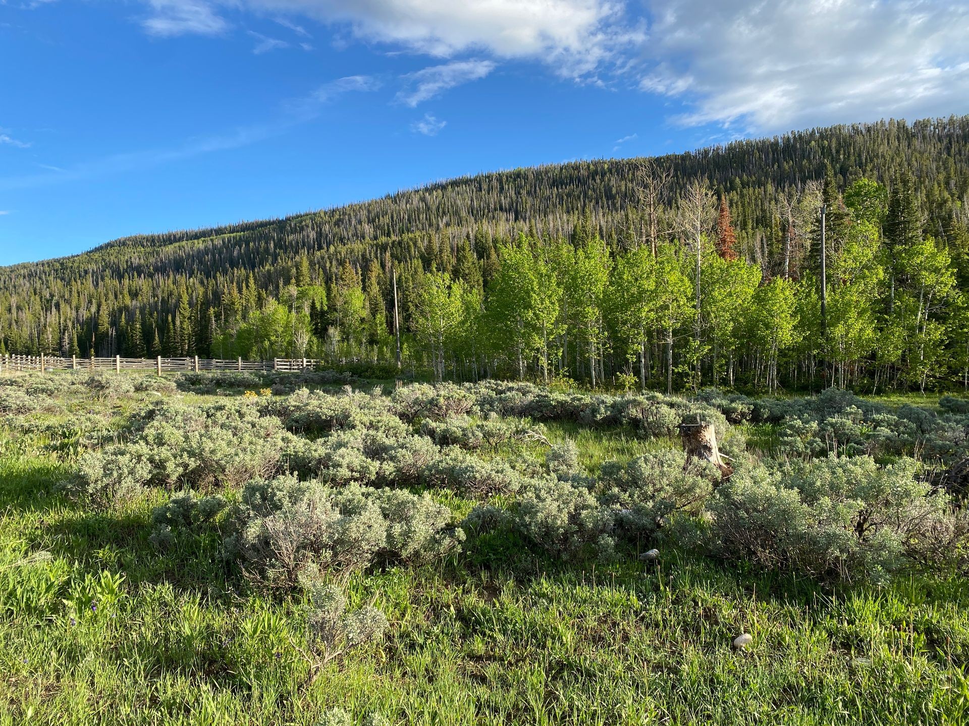Medicine Bow Wyoming