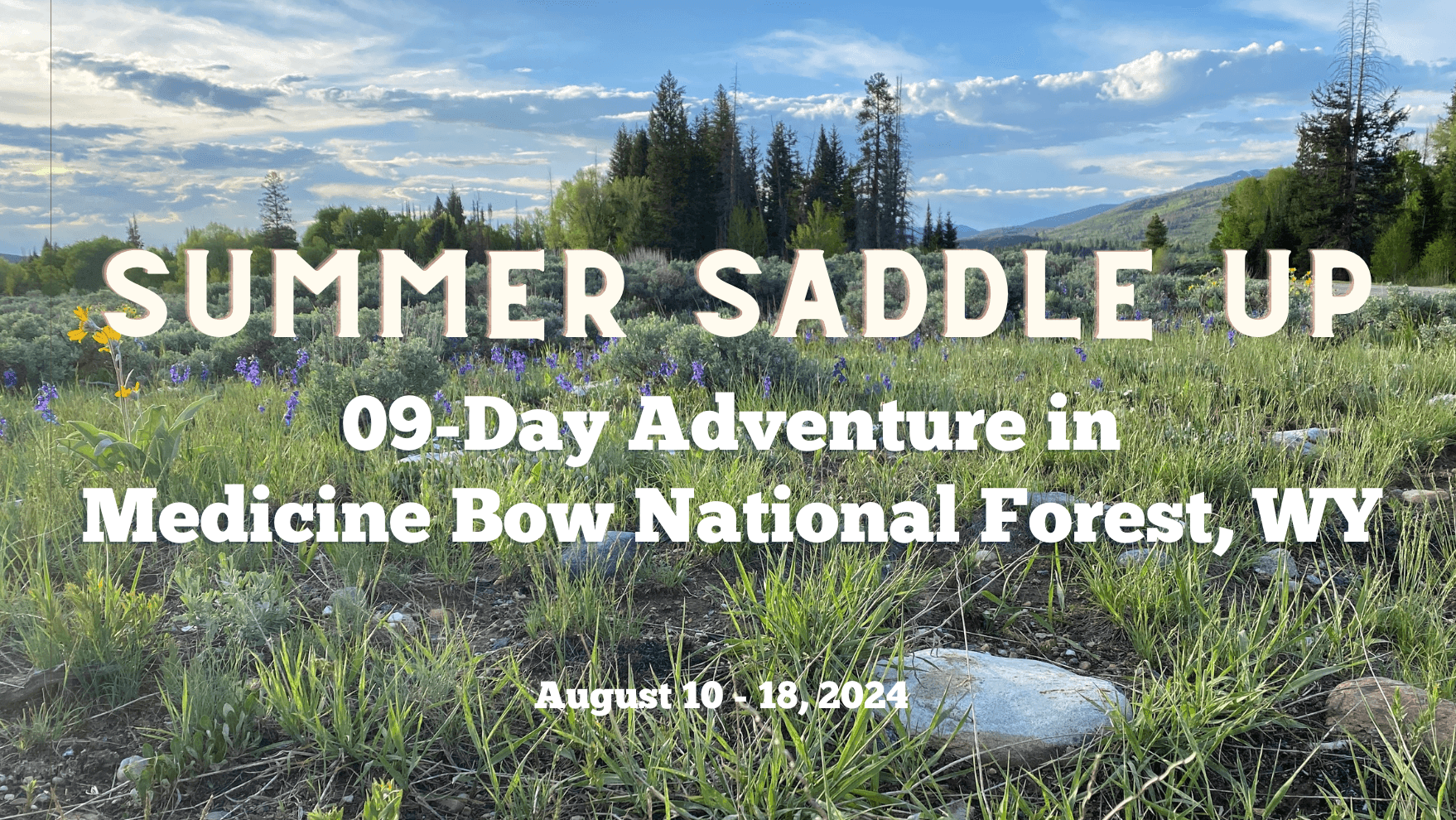 Summer Saddle Up: 09-Day Adventure in Medicine Bow National Forest, WY from August 10-18, 2024. Scenic landscape featuring a lush meadow with wildflowers, evergreen trees, and mountains under a partly cloudy sky.